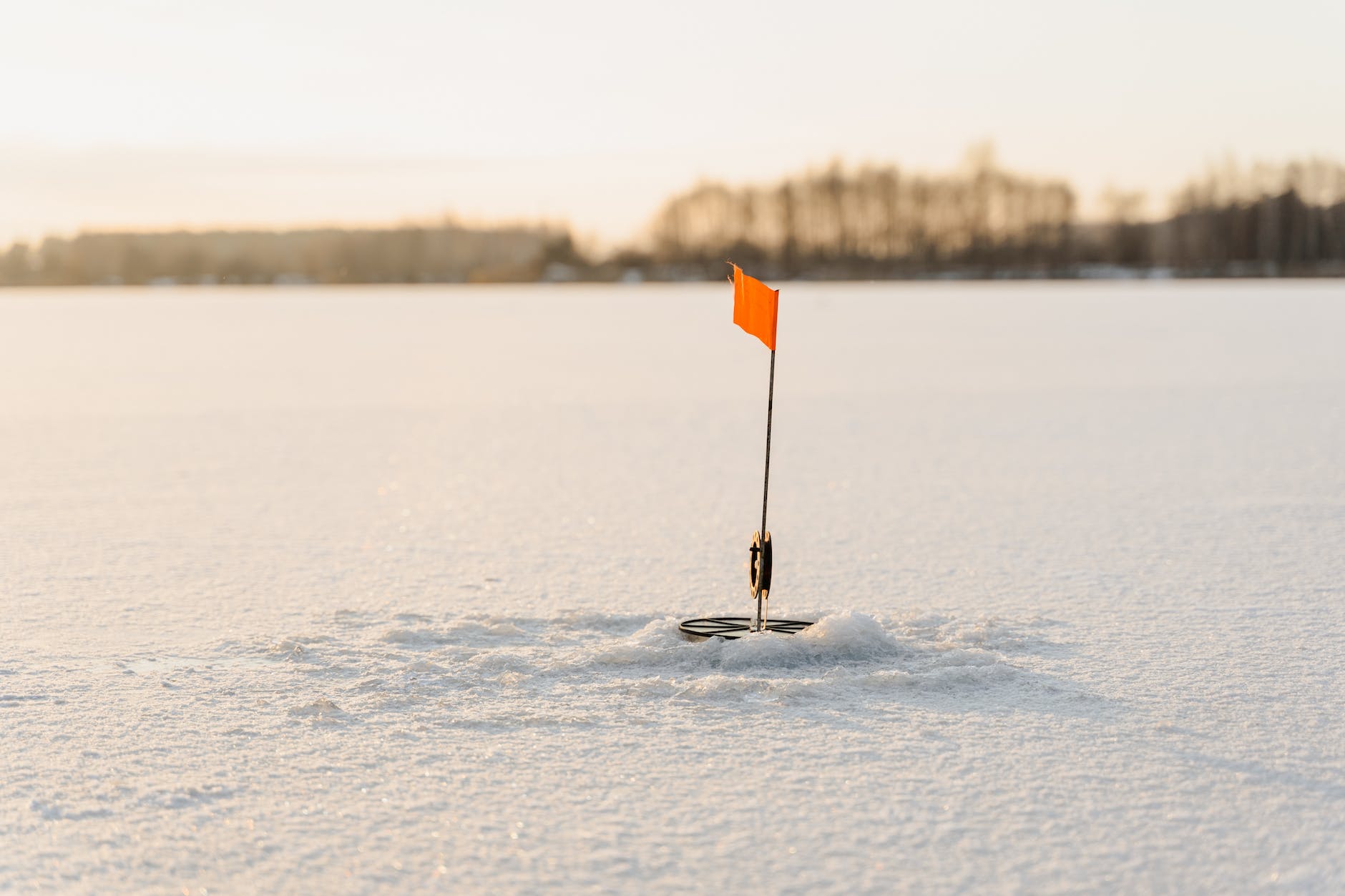 how much does it cost to freeze sperm