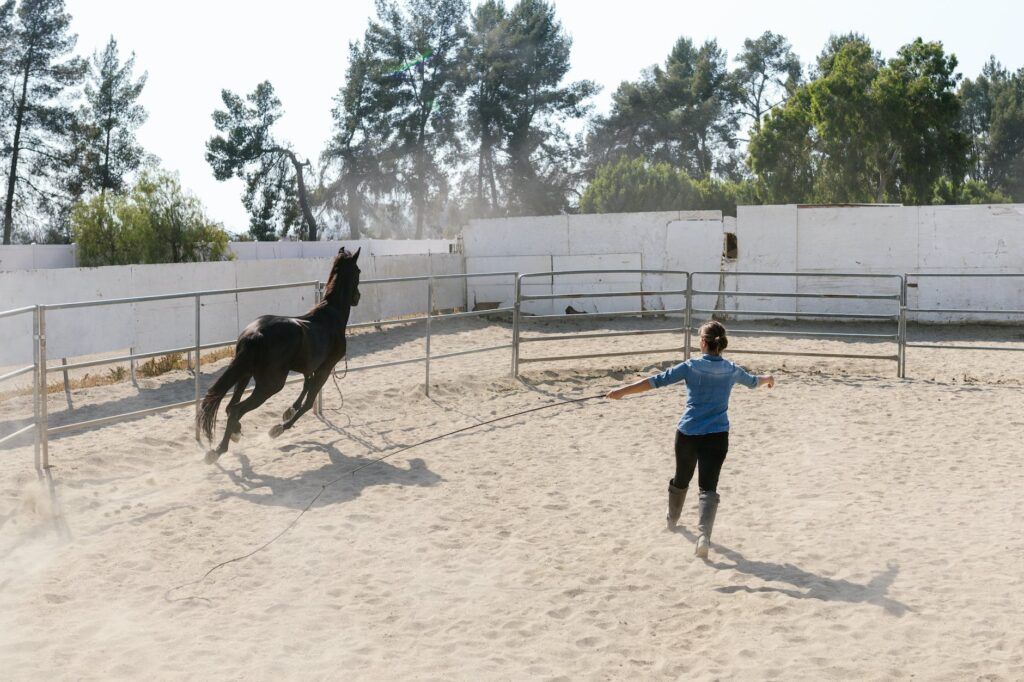 how much does it cost to own a horse